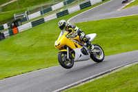 cadwell-no-limits-trackday;cadwell-park;cadwell-park-photographs;cadwell-trackday-photographs;enduro-digital-images;event-digital-images;eventdigitalimages;no-limits-trackdays;peter-wileman-photography;racing-digital-images;trackday-digital-images;trackday-photos